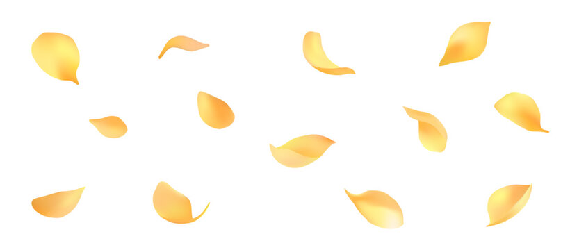 Beautifully dancing petals vector material