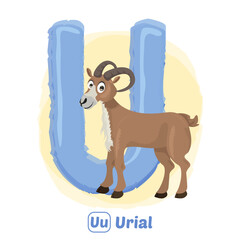 stock vector of U for urial. alphabet animal for education