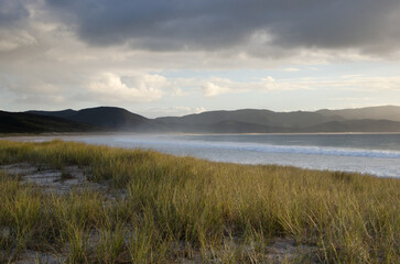 Fototapeta premium Spirits Bay