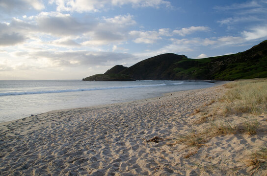 Spirits Bay At Dusk