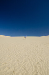 Te Paki Giant Sand Dunes