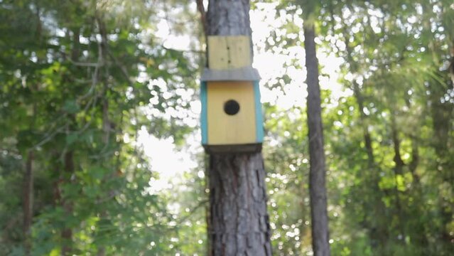 Slow Motion Push-In shot of a Yellow Bluebird House in the Evening with the Sun in the Back
