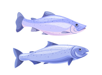 Detailed Two Blue Fishes Isolated On A White Background, Showcasing Marine Life, Cartoon Vector Illustration