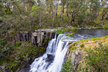 Ebor Falls Waterfall Australia