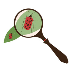 Ladybug Through Magnifying Glass Illustration