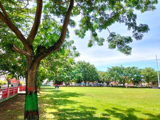 The brebes square (Alun Alun Brebes) with a beautiful garden inside. Selective focus.