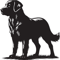 Dog  Illustration vector