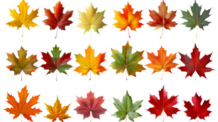 Fototapeta premium Watercolor art of various autumn leaves in shades of red, yellow, green, and orange
