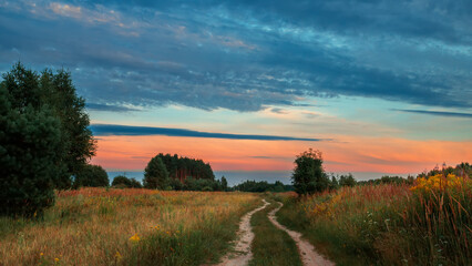 Fototapeta premium Sunrise or sunset sun over forest. Landscape in morning. Golden hour in nature. Summer landscape.