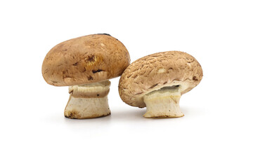 Fresh  champignon mushrooms isolated on a white background.  full depth of field.