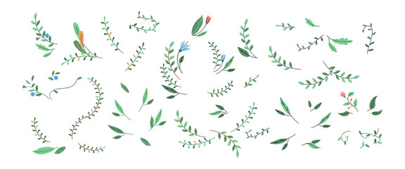 Plants branches with leaves and flowers 2D cartoon vector objects set. Lush spring flora flat color elements on white background