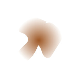 Abstract Shape Gradient Decor 