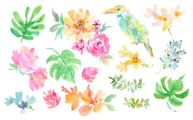 Set of transparent background illustrations of hibiscus, tropical plants, and tucan painted in watercolor