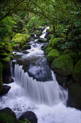 waterfall in the forest