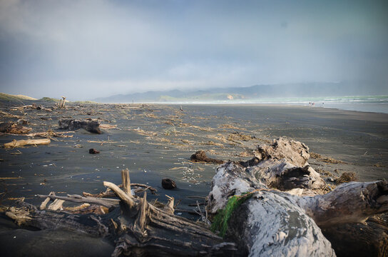 Kawhia
