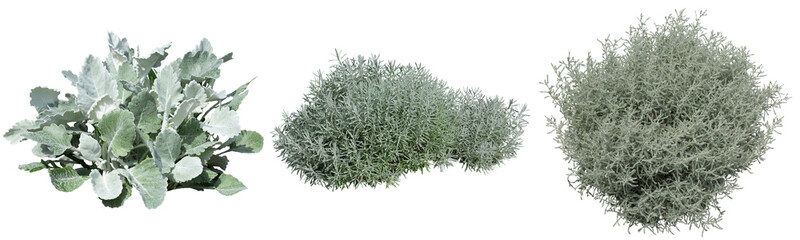 シルバーカラーリーフ切り抜きセット透過PNG背景白