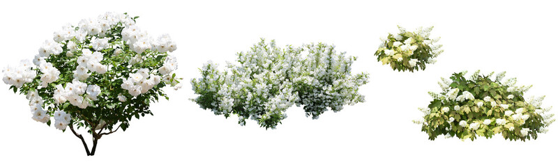 白色植栽切り抜きセット透過PNG背景白切り抜きセット透過PNG背景白