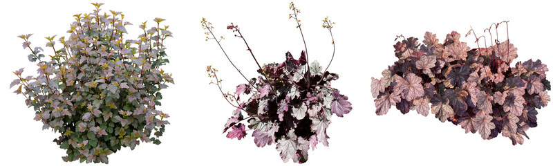 パープルカラーリーフ切り抜きセット透過PNG背景白