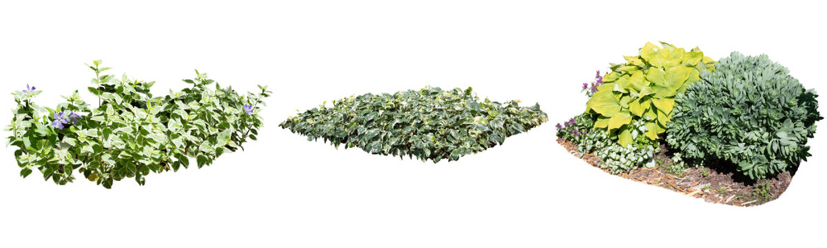 シルバーカラーリーフ切り抜きセット透過PNG背景白