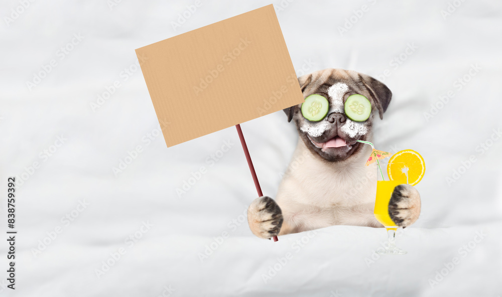 Poster funny pug puppy with cream on his face and a piece of cucumber on his eyes holds watermelon cocktail