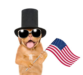 Happy Mastiff puppy wearing black top hat holds flag USA. isolated on white background