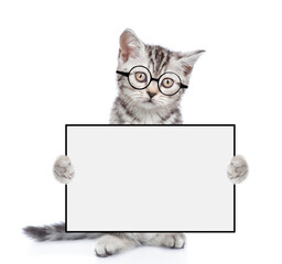 Funny smart kitten wearing eyeglasses standing on hind legs, looks at camera and shows empty board. isolated on white background