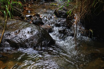 Clear water flows over a rocky river in the middle of the forest.