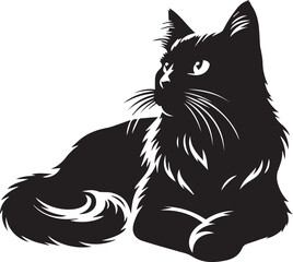 illustration and cat vector 