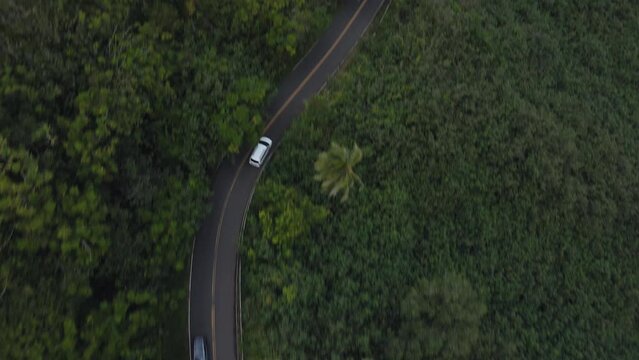 Aerial view of cars driving on the highway throught lush green tropical forest in Maui, Hawaii
