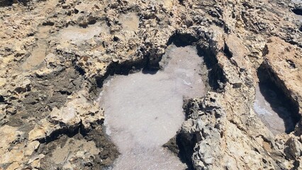 Eroded stone filled with sea salt , near Santa Maria Battery, Comino island, Malta. High quality photo