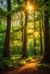 radiant sunlight filtering through lush forest canopy enchanted grove, streaming, trees, green, foliage, shadows, tranquil, peaceful, serene, picturesque, woods, bright