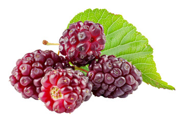 Close-Up of Fresh Red Raspberries with Green Leaf