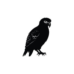 Vector Silhouetted  White Background