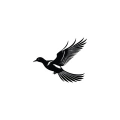 Vector Silhouetted  White Background