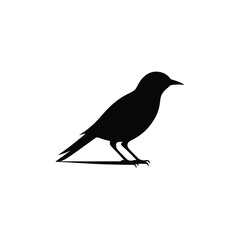 Vector Silhouetted  White Background