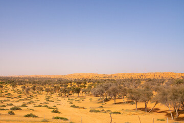 The Desert in Ras al Khaimah, United Arab Emirates