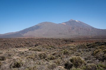 a dirt area with bushes and grasses below a mountain on a sunny day