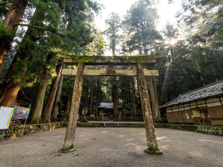 朝日が射し込む龍穴神社の鳥居