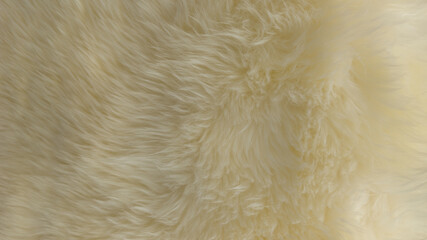 background white abstract warm white fur close up