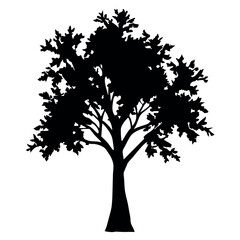 Big Tree vector silhouette black color illustration, a tree with branches vector silhouette