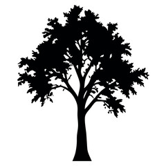 Big Tree vector silhouette black color illustration, a tree with branches vector silhouette