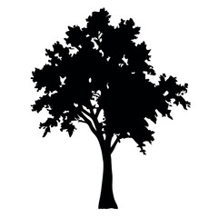 Fototapeta premium Big Tree vector silhouette black color illustration, a tree with branches vector silhouette