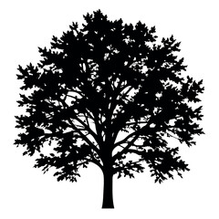 Fototapeta premium Big Tree vector silhouette black color illustration, a tree with branches vector silhouette