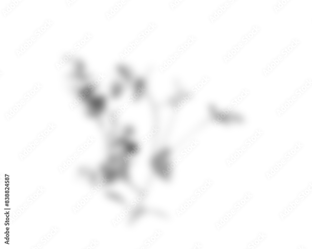 Fototapete Natural palm branch shadow on transparent background. Tropical palm leaf shadow overlay effect. Realistic leaves shadow sunshade isolated on transparent backgrounds. Realistic tree branches shadow