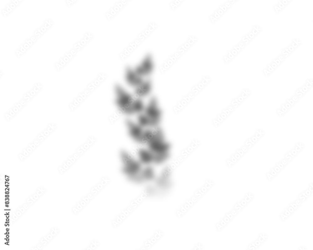 Poster natural palm branch shadow on transparent background. tropical palm leaf shadow overlay effect. real