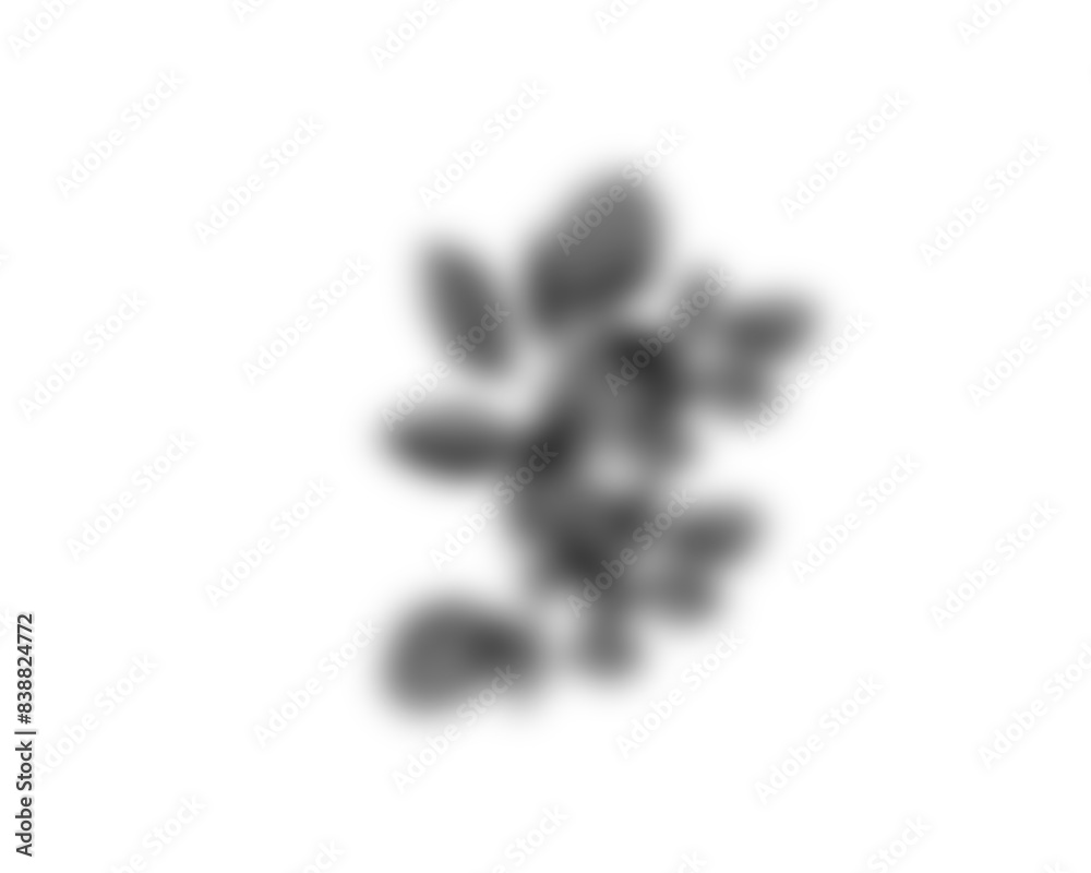 Aufkleber Natural palm branch shadow on transparent background. Tropical palm leaf shadow overlay effect. Realistic leaves shadow sunshade isolated on transparent backgrounds. Realistic tree branches shadow