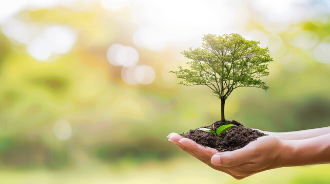 A person's hand holds a small tree with soil. Blurred green landscape. Eco-friendly, connection to nature. Environment protection, ecology awareness concept. Blurred background.