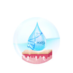 PDRN ,Polydeoxyribonucleotide serum Skin Care Cosmetic, DNA salmon