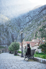 A black Schnauzer dog sits patiently on a street in a historic shopping district, exuding the...