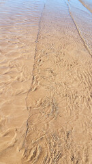 Small waves gently lap the sandy shore in this golden, textured beach pattern.